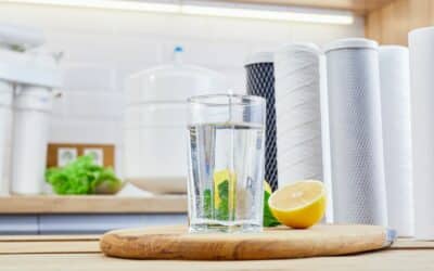 Choosing the Right Water Filter: Under Sink vs. Water Pitcher Filters